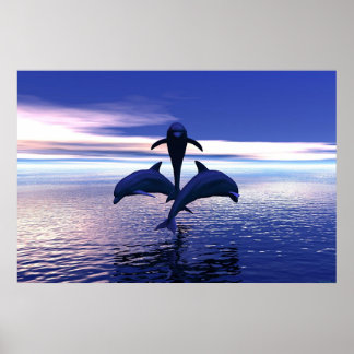 早朝のイルカ ポスター