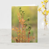 早朝のシダのグリーティ空白のングカード カード (黄色い花)