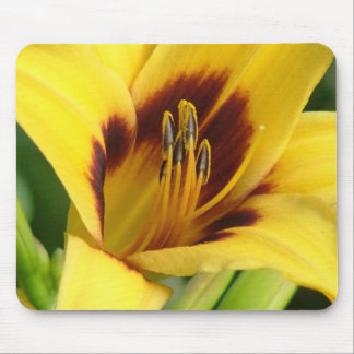 早朝のマウスパッド マウスパッド