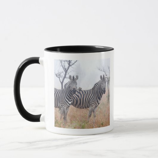 早朝の塵、Krugerの国民のシマウマ マグカップ (左)