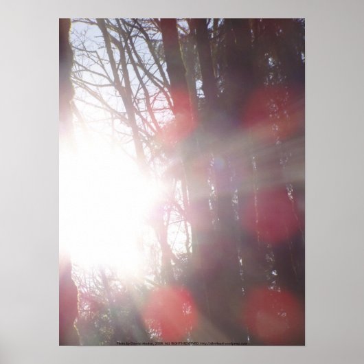 早朝の太陽光線#28 ポスター (正面)