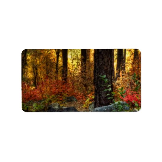 早朝の散歩 ラベル (正面)