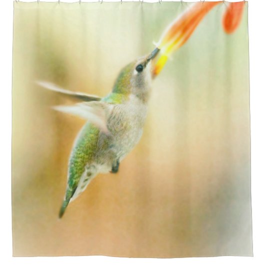 早朝の明かりの中のハミングバード シャワーカーテン (正面)