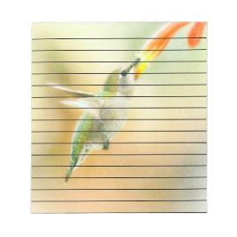 早朝の明かりの中のハミングバード ノートパッド