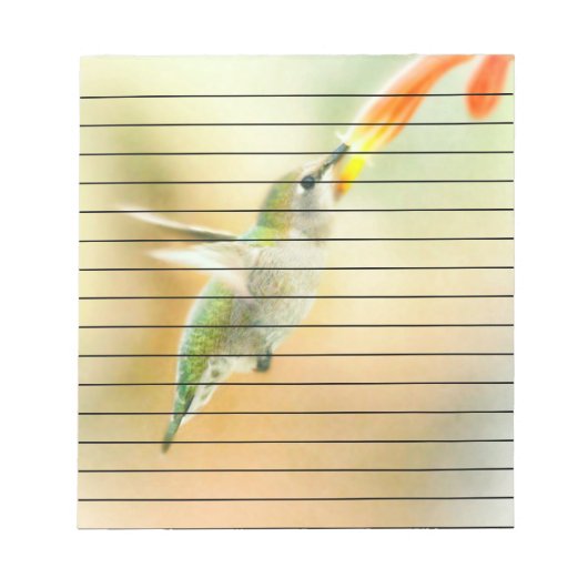 早朝の明かりの中のハミングバード ノートパッド (正面)