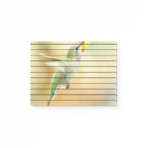 早朝の明かりの中のハミングバード