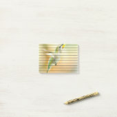 早朝の明かりの中のハミングバード ポストイット (デスク上)