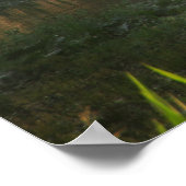 早朝の泳ぎ ポスター (角)