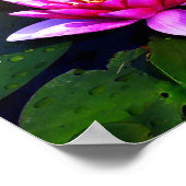 早朝の蓮のポスター ポスター (角)