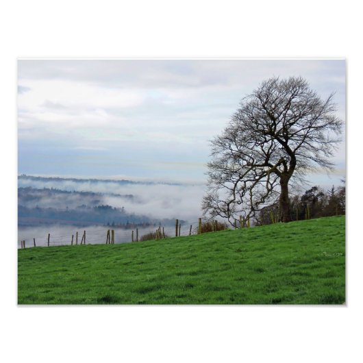 早朝の霧 フォトプリント            (正面)