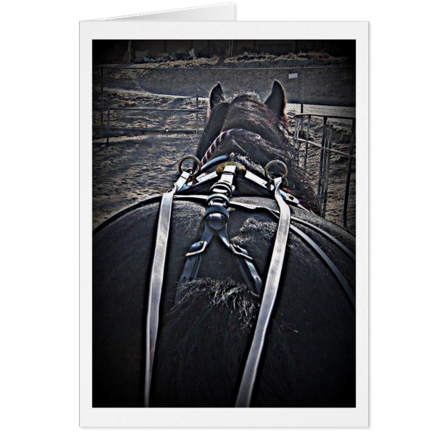 早朝ドライブ (正面)