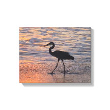 早朝散歩ヘロン