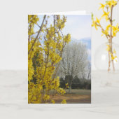 早期春 – グリーティングカード (黄色い花)