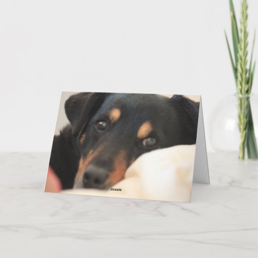 早素晴らしく犬の挨拶状が届く カード (裏面)