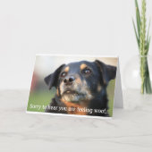 早素晴らしく犬の挨拶状が届く カード (正面)