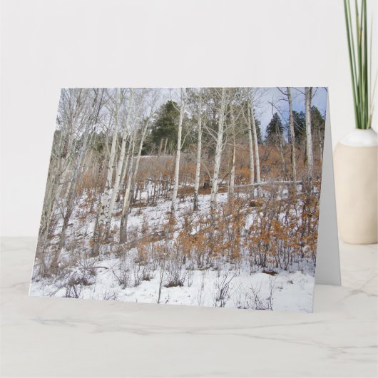 早雪グリーティングカード カード (正面)