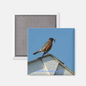 早鳥 マグネット (正面/裏面)