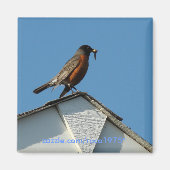 早鳥 マグネット (正面)