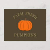 旬のカボチャのホリデー シーズンポストカード (正面)