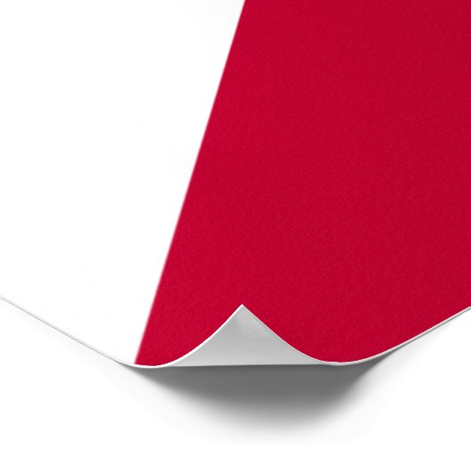 旭日記 ポスター (角)