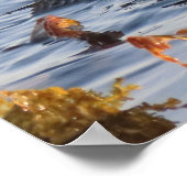 昆布の包まれた海水浴場 ポスター (角)