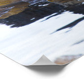 昆布包まれたの海水浴 ポスター (角)