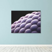 昆虫からの複眼 キャンバスプリント (インサイチュ (ウッドフロア))