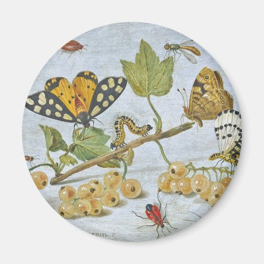 昆虫が這う マグネット (正面)