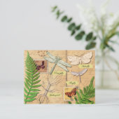 昆虫と一般的なポリポディシダ ポストカード (スタンド正面)