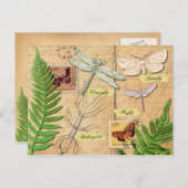 昆虫と一般的なポリポディシダ ポストカード (正面/裏面)