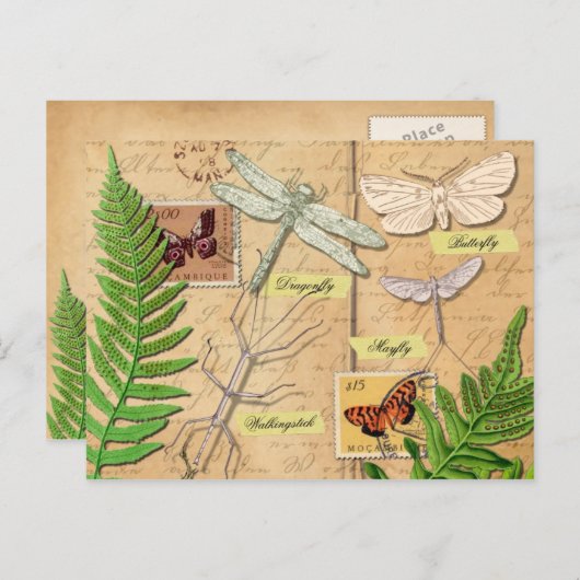 昆虫と一般的なポリポディシダ ポストカード (正面/裏面)