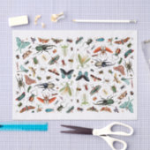 昆虫と蝶のヴィンテージ本のイラスト 薄葉紙 (クラフト)