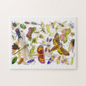 昆虫のジグソーパズル|気色悪いCrawlies ジグソーパズル (横)