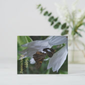 昆虫の切手を使ったポストクロッシングのポストカード ポストカード (スタンド正面)