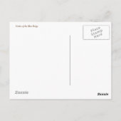 昆虫の切手を使ったポストクロッシングのポストカード ポストカード (裏面)