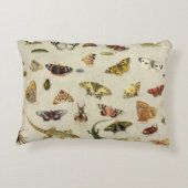 昆虫の勉強 アクセントクッション (裏面)