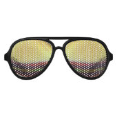 昆虫の目 アビエーターサングラス (正面)