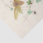 昆虫の自然史の典型 薄葉紙 (詳細)