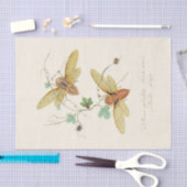 昆虫の自然史の典型 薄葉紙 (クラフト)