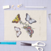 昆虫の自然史の典型 薄葉紙 (クラフト)