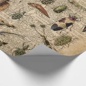 昆虫の虫のヴィンテージのイラストレーション辞書の芸術 ラッピングペーパー (角)