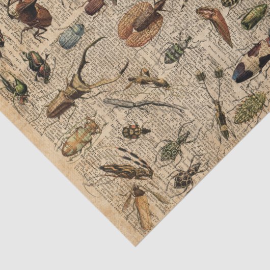 昆虫の虫のヴィンテージのイラストレーション辞書の芸術 薄葉紙 (詳細)