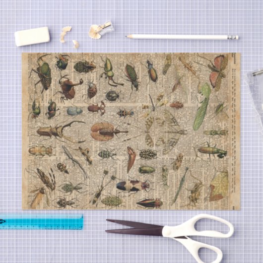 昆虫の虫のヴィンテージのイラストレーション辞書の芸術 薄葉紙 (クラフト)