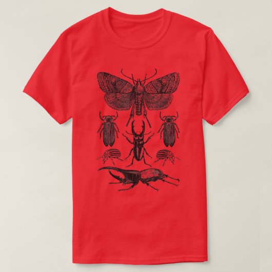 昆虫の虫の収集モススタグビートルcicada tシャツ (デザイン正面)