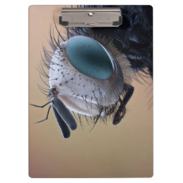 昆虫の顔アップ クリップボード