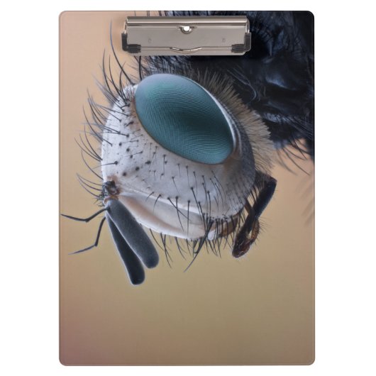 昆虫の顔アップ クリップボード (正面)