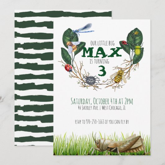 昆虫をテーマにした誕生日パーティーの招待状 招待状 (正面/裏面)