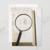 昆虫を示す本の上の拡大鏡 ポストカード (正面/裏面)