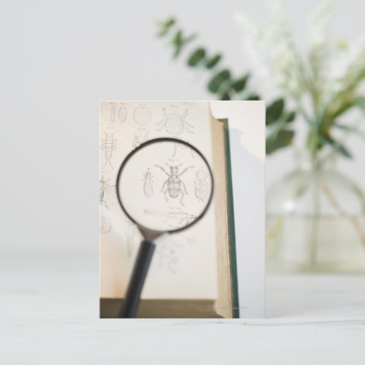 昆虫を示す本の上の拡大鏡 ポストカード (スタンド正面)