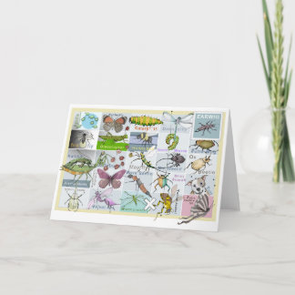 昆虫アルファベット カード